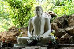 Buddha Sri Lanka Mahamevnawa